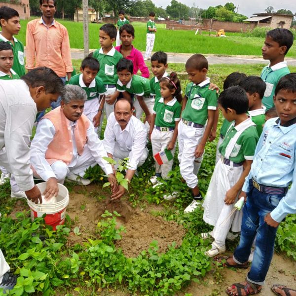 plantation